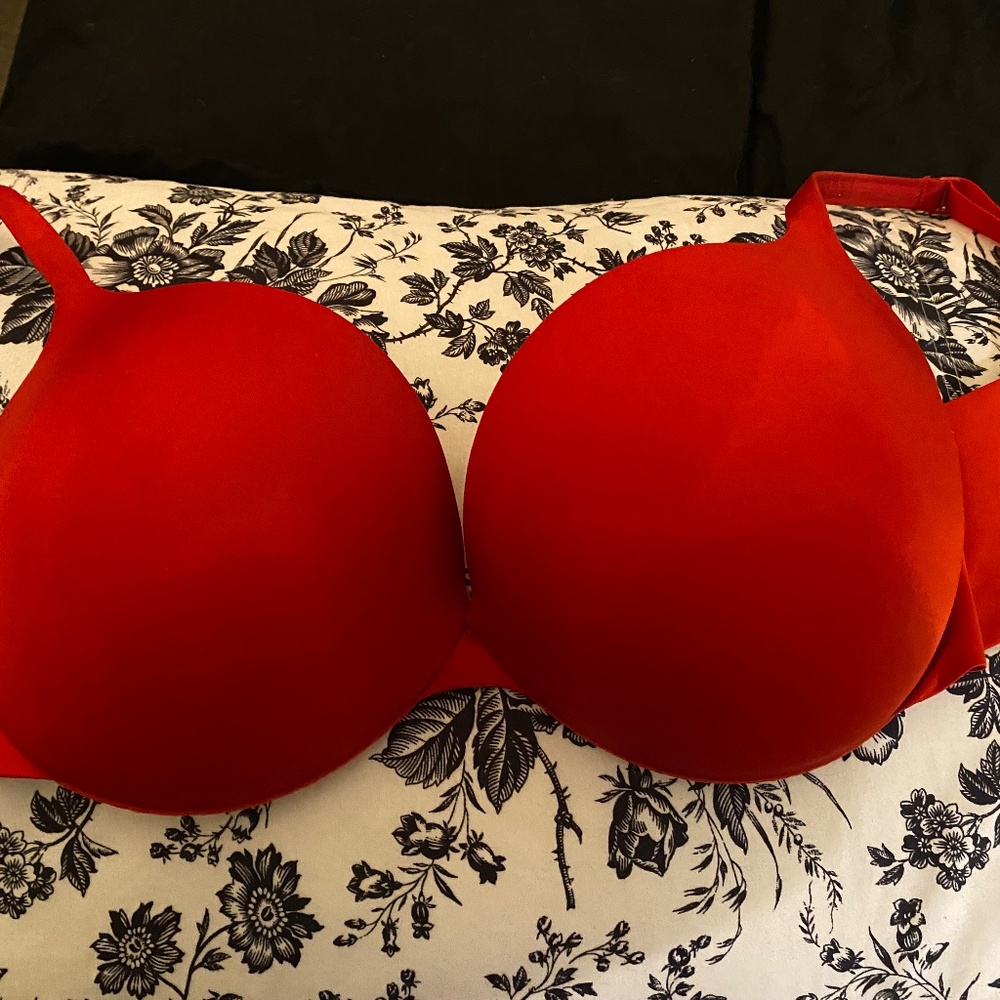 Skims push up bra 36DD